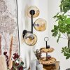 Ripoll Kogellampje, Wandlamp Amber, 3-lichts