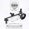 Ripoll Kogellampje, Wandlamp Chroom, Duidelijk, Rookkleurig, 3-lichts