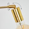 Codecro Staande lamp Messing, Zwart, Wit, 5-lichts