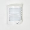 Heran Wandlamp voor buiten, Wandlamp LED Wit, 1-licht, Bewegingsmelder