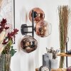 Ripoll Kogellampje, Wandlamp Duidelijk, Koperkleurig, 3-lichts