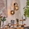 Ripoll Kogellampje, Wandlamp Duidelijk, Rookkleurig, 3-lichts