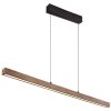 Globo Olivus Hanglamp LED Zwart, 1-licht