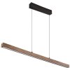 Globo Olivus Hanglamp LED Zwart, 1-licht