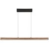 Globo Olivus Hanglamp LED Zwart, 1-licht