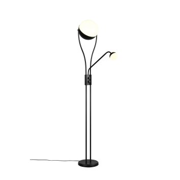 Trio verlichting Chris Staande lamp LED Zwart, 2-lichts Trio verlichting Chris Staande lamp LED Zwart, 2-lichts