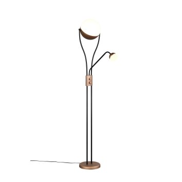 Trio verlichting Chris Staande lamp LED Bruin, 2-lichts