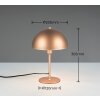 Trio verlichting Nola Tafellamp Bruin, 1-licht