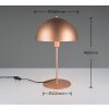 Trio verlichting Nola Tafellamp Bruin, 1-licht