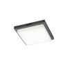 Trio verlichting BERMEJO Plafondlamp LED Antraciet, 1-licht, Bewegingsmelder