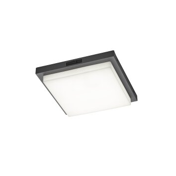 Trio verlichting BERMEJO Plafondlamp LED Antraciet, 1-licht, Bewegingsmelder
