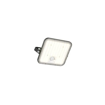 Reality Acora Wandlamp LED Zwart, 1-licht, Bewegingsmelder, Afstandsbediening