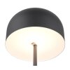 Reality Jeff Staande lamp LED Zwart, 1-licht