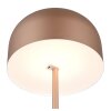 Reality Jeff Staande lamp LED Bruin, 1-licht