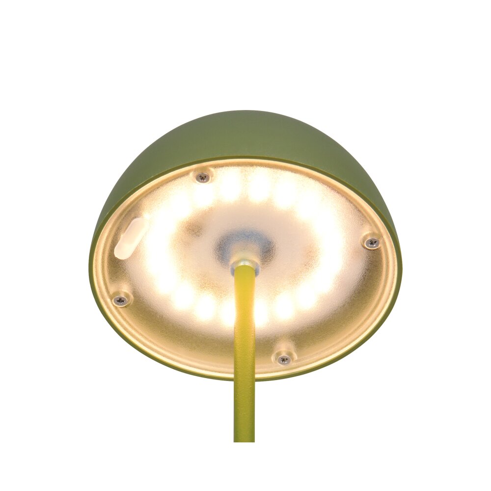 Reality Ortiz Tafellamp LED Groen, 1-licht