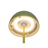 Reality Ortiz Tafellamp LED Groen, 1-licht