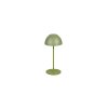Reality Ortiz Tafellamp LED Groen, 1-licht