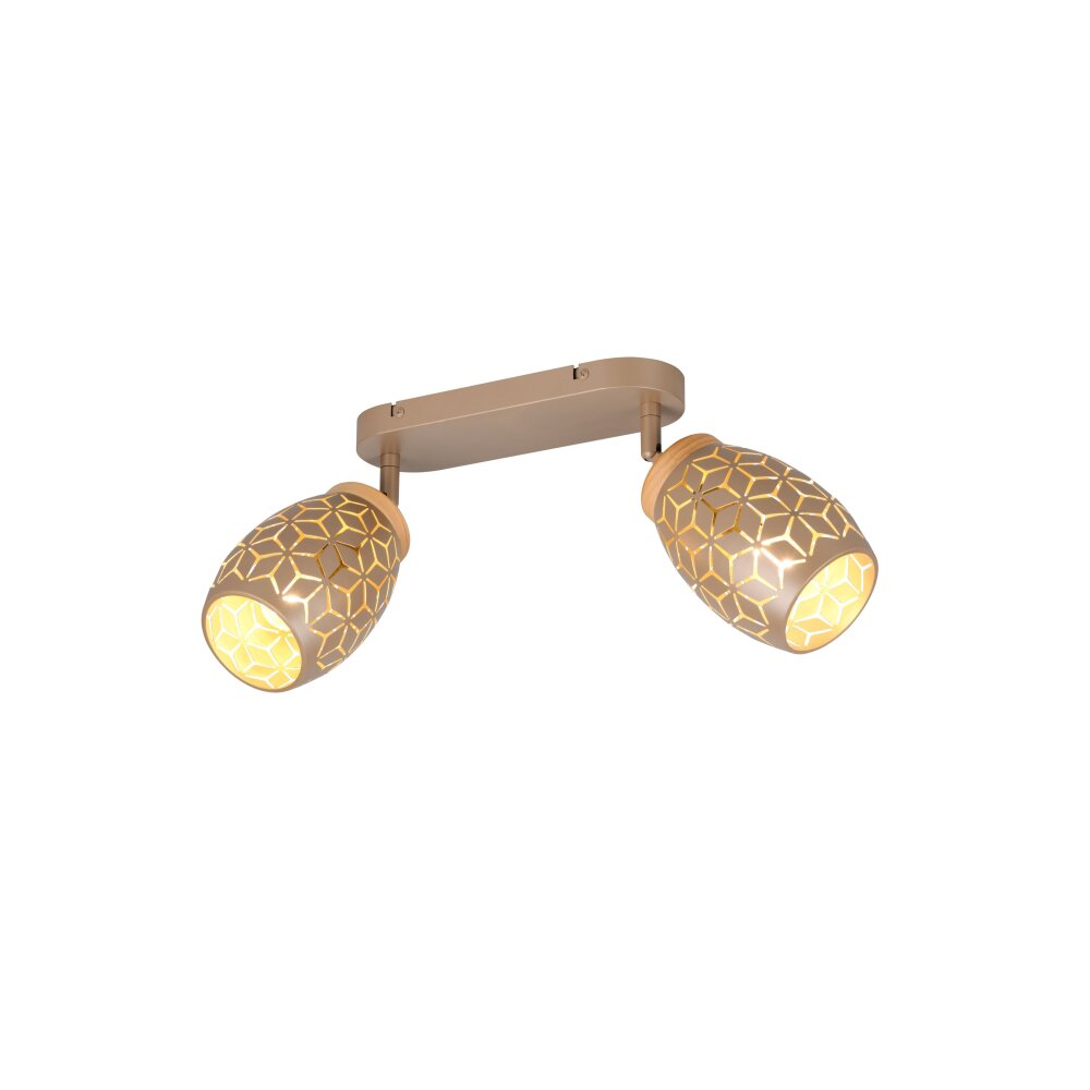 Reality Bidar Plafondspot Bruin, 2-lichts main product photo