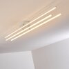 Tornio Plafondlamp LED Nikkel mat, Wit, 3-lichts