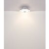 Globo Shelly Plafondventilator met verlichting LED Wit, 1-licht, Afstandsbediening