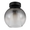 Globo Barry Plafondlamp Zwart, 1-licht