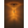 Globo Aleidis Hanglamp Donkerbruin, Zwart, 1-licht