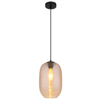 Globo Jefrey Hanglamp Zwart, 1-licht