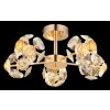 Globo Floriella Plafondlamp LED Goud, 1-licht