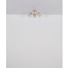 Globo Floriella Plafondlamp LED Goud, 1-licht