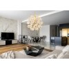 Globo Floriella Hanglamp LED Goud, 1-licht