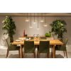 Globo Fiore Hanglamp Zwart, 6-lichts