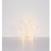 Globo Stara deco licht LED Transparant, Helder, Wit, 100-lichts