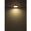 Globo Nielsen Plafondlamp LED Wit, 1-licht