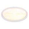 Globo Tyrone Plafondlamp LED Wit, 1-licht