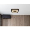 Globo Jayden Plafondlamp LED Zwart, 1-licht