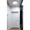 Globo Marcia Plafondlamp LED Wit, 1-licht