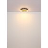 Globo Hedi Plafondlamp LED Goud, Zwart, 1-licht