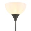 Globo Wilbur Staande lamp Titan, 1-licht