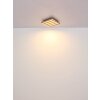 Globo Hayden Plafondlamp LED Natuurlijke kleuren, Zwart, 1-licht