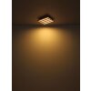 Globo Hayden Plafondlamp LED Natuurlijke kleuren, Zwart, 1-licht