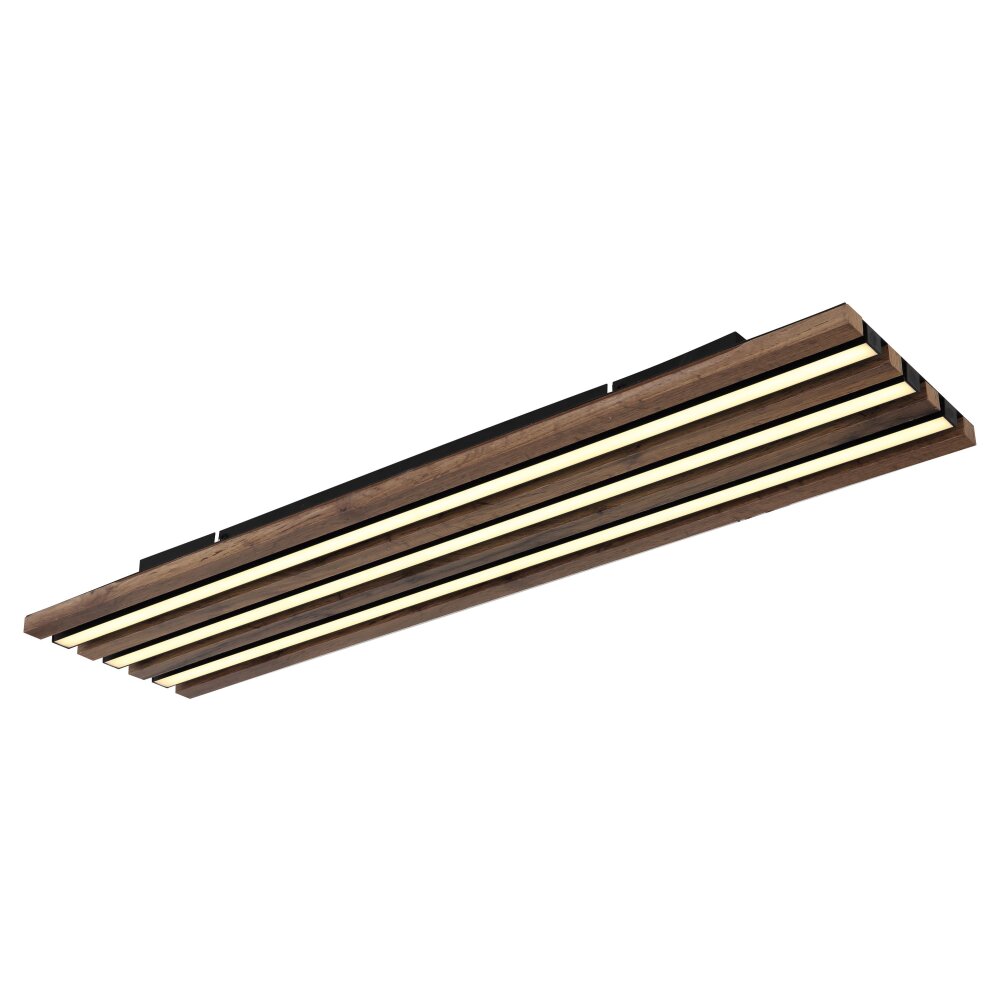 Globo Hayden Plafondlamp LED Natuurlijke kleuren, Zwart, 1-licht main product photo