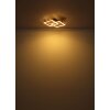Globo Jeffry Plafondlamp LED Natuurlijke kleuren, Zwart, 1-licht
