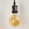 LED-gloeilamp Pratoia E27 9 watt 806 lumen 2200 - 5500 kelvin