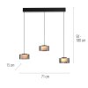 Paul Neuhaus Verlichting Rika Hanglamp LED Zwart, 3-lichts