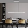 Paul Neuhaus Verlichting Round Hanglamp LED Aluminium, 2-lichts