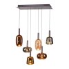 Paul Neuhaus Verlichting Irides Hanglamp LED Bruin, 6-lichts
