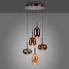Paul Neuhaus Verlichting Irides Hanglamp LED Bruin, 5-lichts