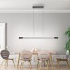 Paul Neuhaus Verlichting Hoop Hanglamp LED Antraciet, Zilver, 1-licht Paul Neuhaus Verlichting Hoop Hanglamp LED Antraciet, Zilver, 1-licht