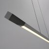 Paul Neuhaus Verlichting Hoop Hanglamp LED Antraciet, Zilver, 1-licht Paul Neuhaus Verlichting Hoop Hanglamp LED Antraciet, Zilver, 1-licht