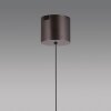 Paul Neuhaus Q-Serie Q-Kon Hanglamp LED Bruin, 1-licht, Afstandsbediening